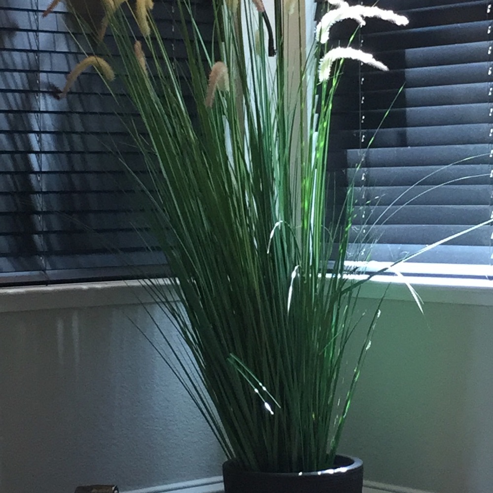 Meet your Posher, Whitney